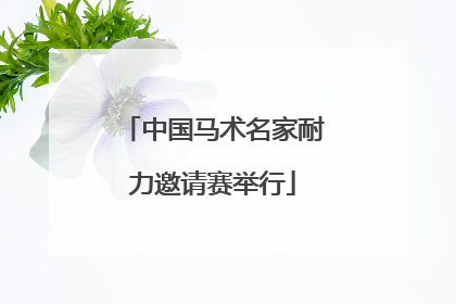 中国马术名家耐力邀请赛举行