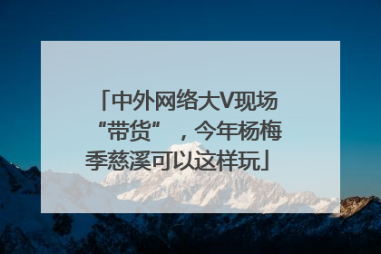 中外网络大V现场“带货”，今年杨梅季慈溪可以这样玩
