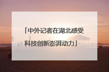 中外记者在湖北感受科技创新澎湃动力