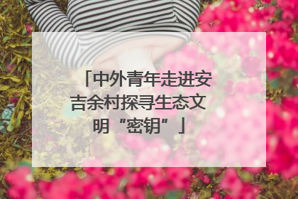 中外青年走进安吉余村探寻生态文明“密钥”