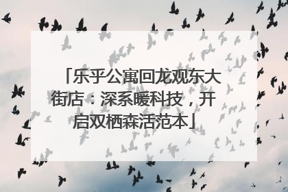 乐乎公寓回龙观东大街店：深系暖科技，开启双栖森活范本