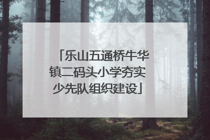 乐山五通桥牛华镇二码头小学夯实少先队组织建设