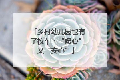 乡村幼儿园也有了校车：“暖心”又“安心”