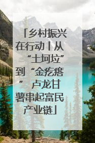 乡村振兴在行动丨从“土坷垃”到“金疙瘩” 卢龙甘薯串起富民产业链