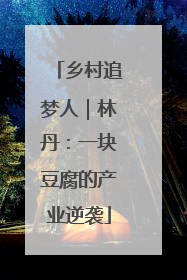 乡村追梦人｜林丹：一块豆腐的产业逆袭