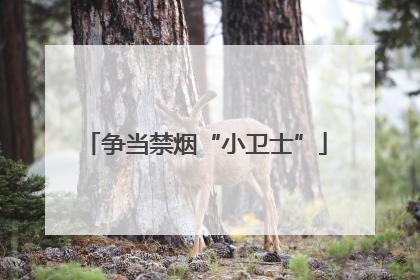 争当禁烟“小卫士”