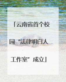云南省首个校园“法律明白人工作室”成立