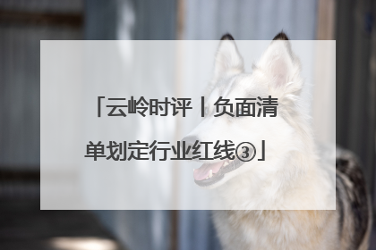 云岭时评丨负面清单划定行业红线③