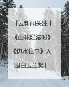 云新闻关注丨《山花烂漫时》《边水往事》入围白玉兰奖