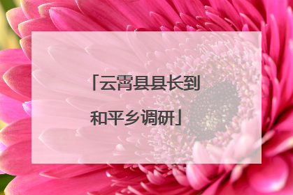 云霄县县长到和平乡调研