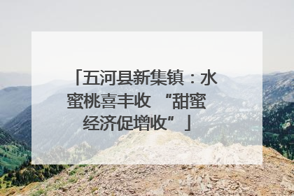 五河县新集镇：水蜜桃喜丰收 “甜蜜经济促增收”