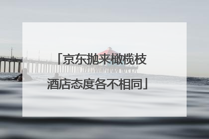 京东抛来橄榄枝 酒店态度各不相同
