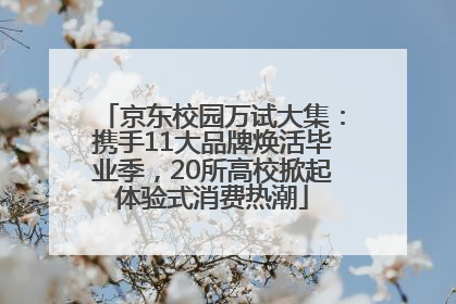 京东校园万试大集：携手11大品牌焕活毕业季，20所高校掀起体验式消费热潮