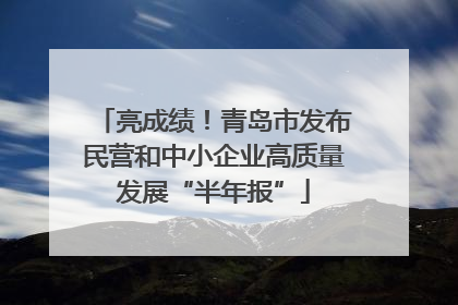 亮成绩！青岛市发布民营和中小企业高质量发展“半年报”