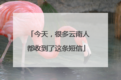 今天，很多云南人都收到了这条短信