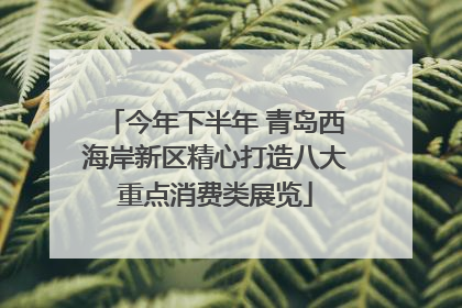 今年下半年 青岛西海岸新区精心打造八大重点消费类展览