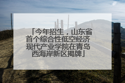 今年招生，山东省首个综合性低空经济现代产业学院在青岛西海岸新区揭牌