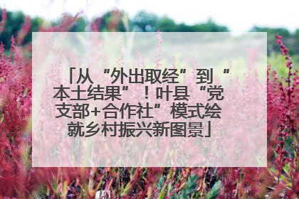 从“外出取经”到“本土结果”！叶县“党支部+合作社”模式绘就乡村振兴新图景