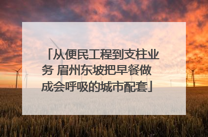 从便民工程到支柱业务 眉州东坡把早餐做成会呼吸的城市配套