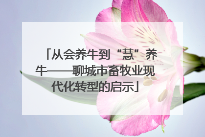 从会养牛到“慧”养牛——聊城市畜牧业现代化转型的启示