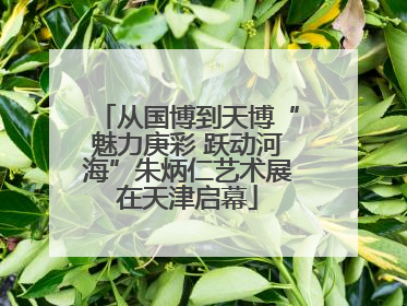 从国博到天博“魅力庚彩 跃动河海”朱炳仁艺术展在天津启幕