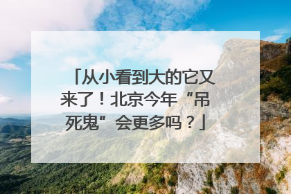 从小看到大的它又来了！北京今年“吊死鬼”会更多吗？