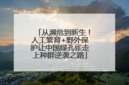 从濒危到新生！人工繁育+野外保护让中国绿孔雀走上种群逆袭之路