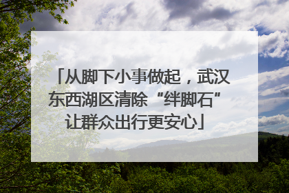 从脚下小事做起，武汉东西湖区清除“绊脚石”让群众出行更安心