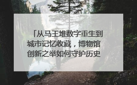 从马王堆数字重生到城市记忆收藏，博物馆创新之举如何守护历史、连接未来？