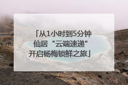从1小时到5分钟 仙居“云端速递”开启杨梅锁鲜之旅