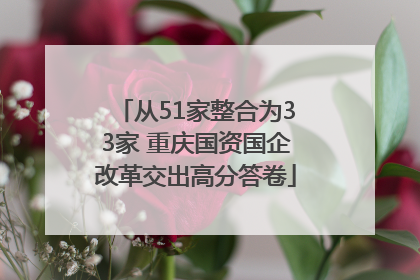 从51家整合为33家 重庆国资国企改革交出高分答卷