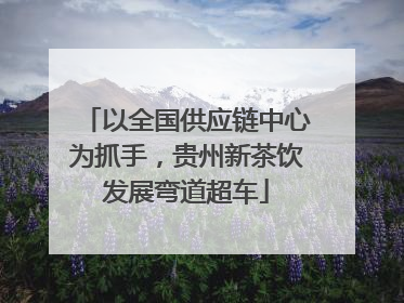 以全国供应链中心为抓手，贵州新茶饮发展弯道超车