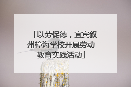 以劳促德，宜宾叙州樟海学校开展劳动教育实践活动