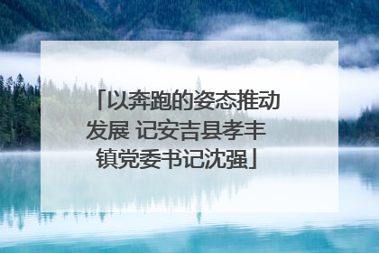 以奔跑的姿态推动发展 记安吉县孝丰镇党委书记沈强