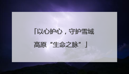 以心护心，守护雪域高原“生命之脉”