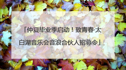 仲夏毕业季启动！致青春·太白湖音乐会音浪合伙人招募令