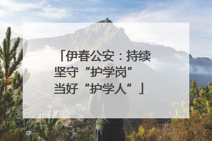 伊春公安：持续坚守“护学岗” 当好“护学人”
