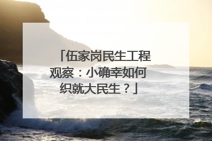 伍家岗民生工程观察：小确幸如何织就大民生？