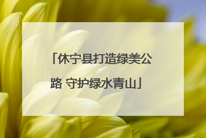休宁县打造绿美公路 守护绿水青山