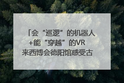 会“巡逻”的机器人+能“穿越”的VR 来西博会德阳馆感受古蜀文明与现代智造的时空对话｜西博视界
