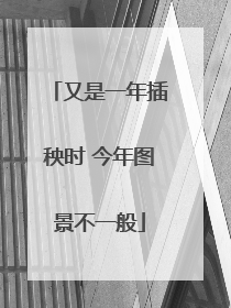 又是一年插秧时 今年图景不一般
