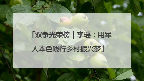 双争光荣榜｜李瑶：用军人本色践行乡村振兴梦