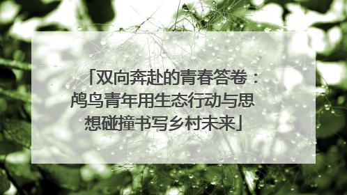 双向奔赴的青春答卷：鸬鸟青年用生态行动与思想碰撞书写乡村未来