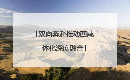 双向奔赴推动西咸一体化深度融合