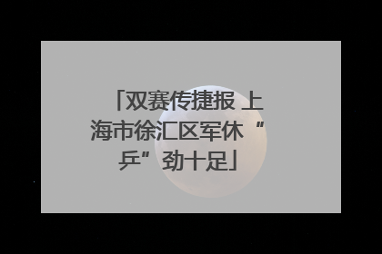 双赛传捷报 上海市徐汇区军休“乒”劲十足