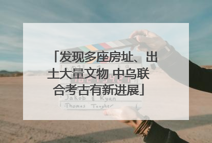发现多座房址、出土大量文物 中乌联合考古有新进展