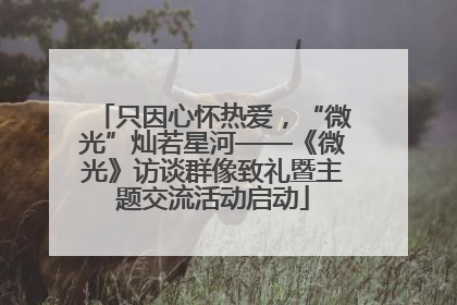 只因心怀热爱，“微光”灿若星河——《微光》访谈群像致礼暨主题交流活动启动