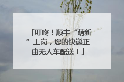 叮咚！顺丰“萌新”上岗，您的快递正由无人车配送！