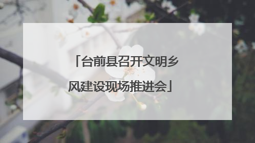 台前县召开文明乡风建设现场推进会
