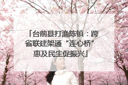 台前县打渔陈镇：跨省联建架通“连心桥” 惠及民生促振兴